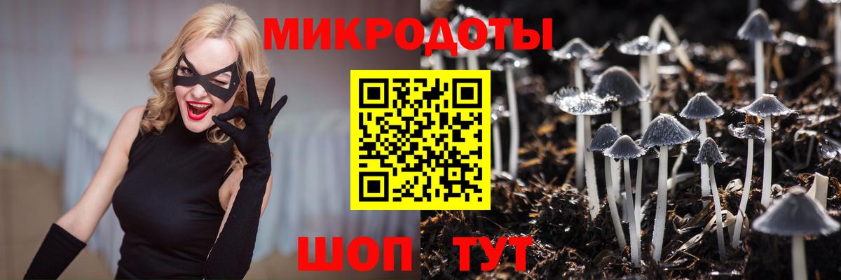 Галлюциногенные грибы Cubensis  наркошоп  Апатиты  Вход с VPN 